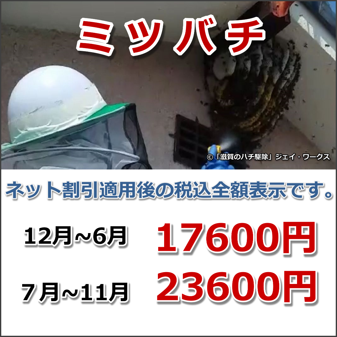 のミツバチ駆除料金ジェイ・ワークス