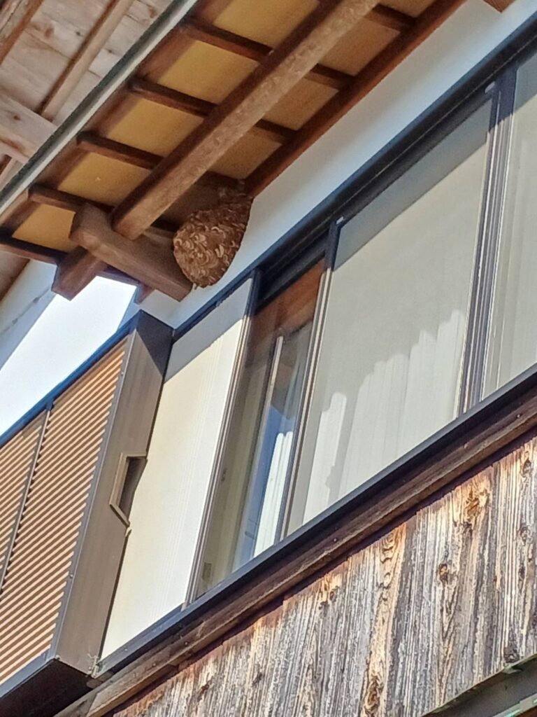 2階軒下のコガタスズメバチの巣駆除の見積り依頼