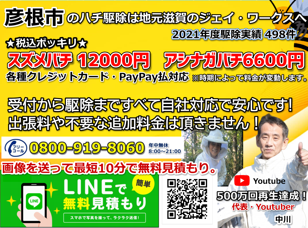 彦根市のハチ駆除 スズメバチ駆除12000円 アシナガバチ駆除6600円 税込ポッキリ料金で即日対応!