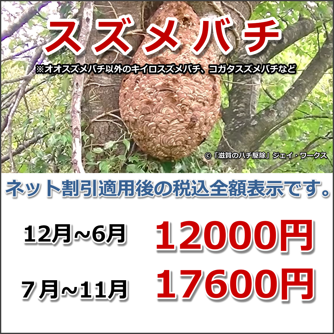 滋賀県のハチ駆除ジェイ・ワークススズメバチ駆除料金画像