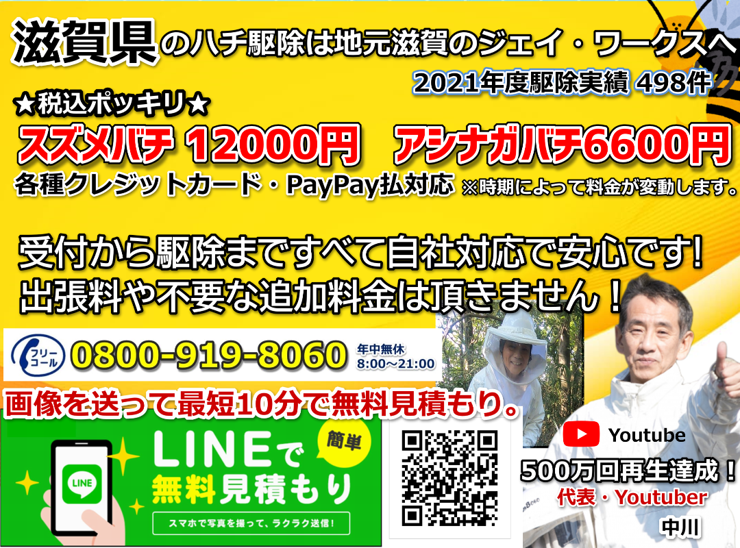 滋賀県のハチ駆除12000円ネット割引のジェイ･ワークス<<クレジットカード対応>><<1ヶ月の再発保証>>