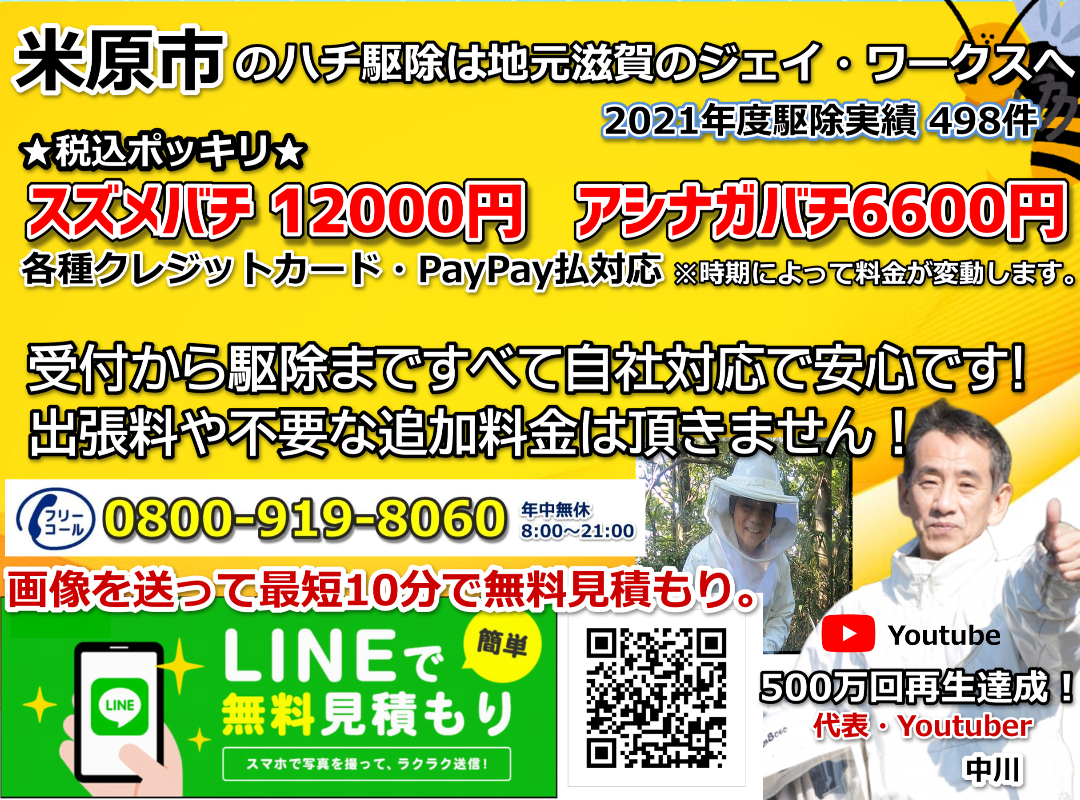 米原市のハチ駆除 スズメバチ駆除12000円 アシナガバチ駆除6600円 税込ポッキリ料金で即日対応!