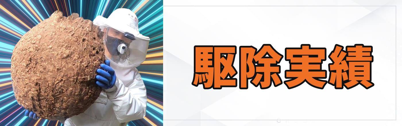 ジェイ・ワークス 滋賀 ハチ駆除実績:お客様の声と解決事例