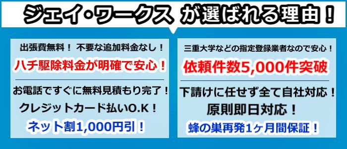 近江八幡市コガタスズメバチ駆除の画像